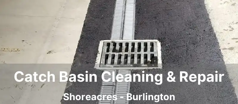  Catch Basin Cleaning & Repair Shoreacres - Burlington