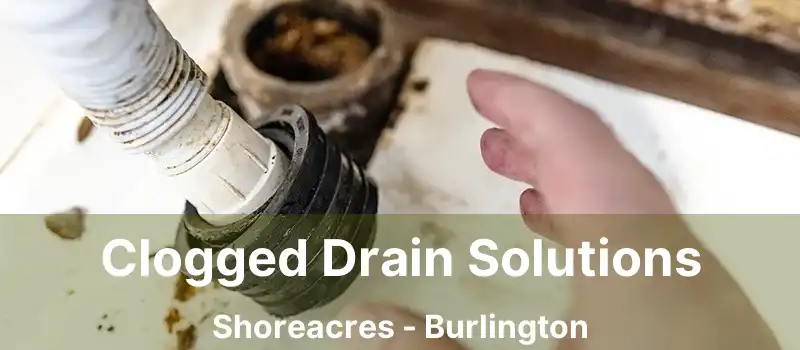  Clogged Drain Solutions Shoreacres - Burlington