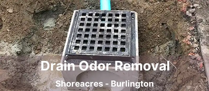  Drain Odor Removal Shoreacres - Burlington