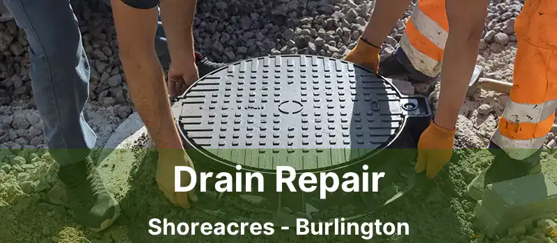  Drain Repair Shoreacres - Burlington