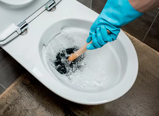Drain Power Flush Services in Shoreacres, Burlington