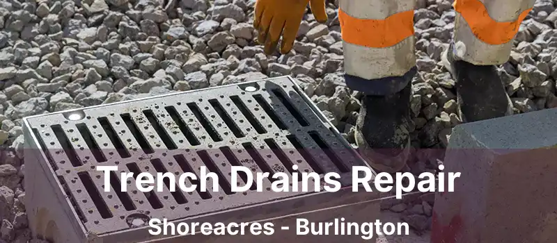  Trench Drains Repair Shoreacres - Burlington